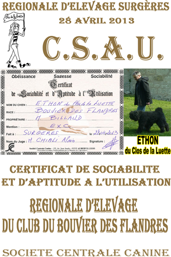 ETHON du Clos de la Luette ©